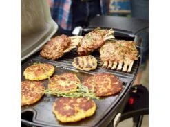 Weber® Q 1200 Gasbarbecue Met Stand -Kampeeruitrusting Winkel 40 3 weber ® q 1200 gasbarbecue met stand 51012475