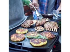 Weber® Q 1200 Gasbarbecue Met Stand -Kampeeruitrusting Winkel 40 5 weber ® q 1200 gasbarbecue met stand 51012475