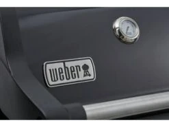 Weber Spirit E-225 Gbs Gasbarbecue Buitenkeuken -Kampeeruitrusting Winkel 43 3 weber spirit e 225 gbs gasbarbecue buitenkeuken 46312264